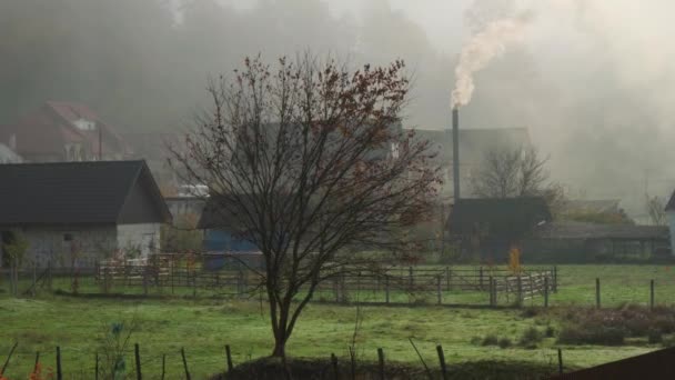 Poranny Krajobraz Wiosce Mała Mgła Biały Dym Komina Jednego Domów — Wideo stockowe