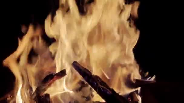 Güçlü Ateş Siyah Arka Planda Yanan Odun — Stok video