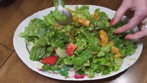Les Mains Des Femmes Remuent Une Salade Légumes Verts Dans — Video