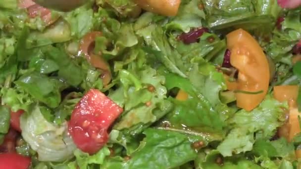 Grön Sallad Närbild Friska Vegetariska Livsmedel Rika Vitaminer — Stockvideo