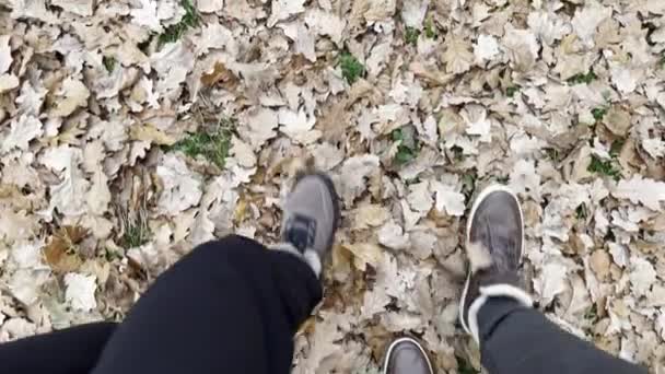 Ноги Мужчины Женщины Обутые Теплые Ботинки Ходят Опавшим Листьям — стоковое видео