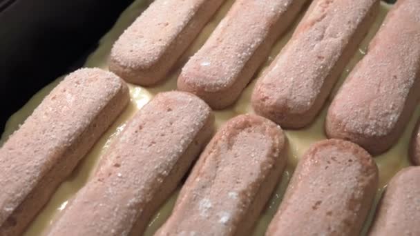 調理中のティラミスケーキ クリームベースの行に積層クッキー — ストック動画