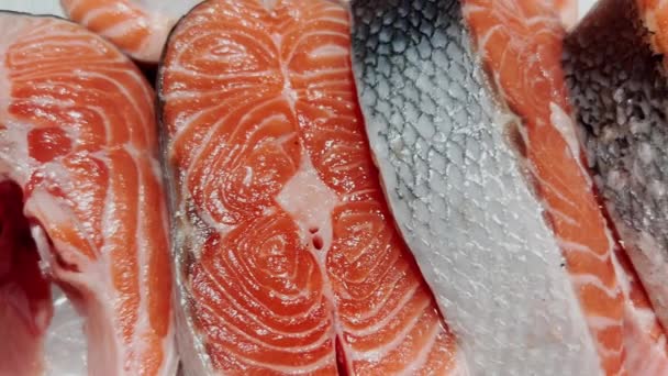 魚屋の窓の上に横たわっている赤魚のスライス片 — ストック動画