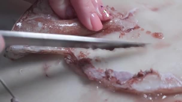 Peel Skin Squid Knife Cooking — Stockvideo