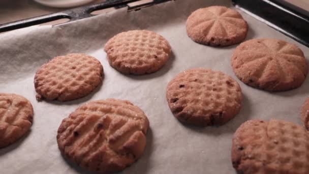 Freshly Made Homemade Cookies Lie Parchment Paper Baking Tray — Stock video
