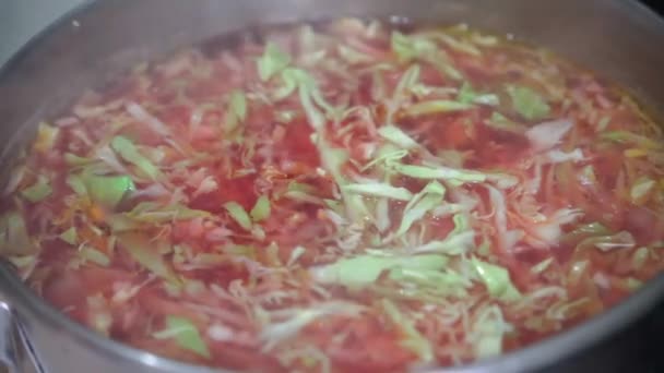 キッチンポットで新鮮なキャベツ料理と健康的な野菜スープ — ストック動画