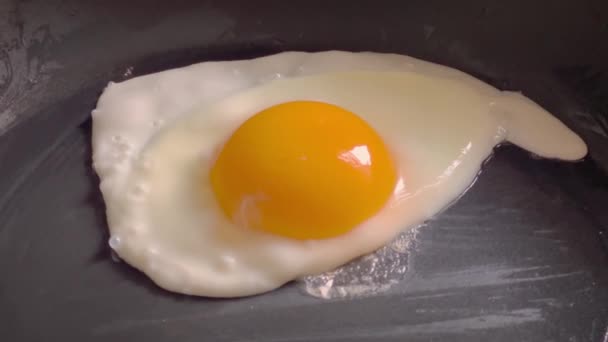 Huevo Pollo Fríe Una Sartén — Vídeo de stock
