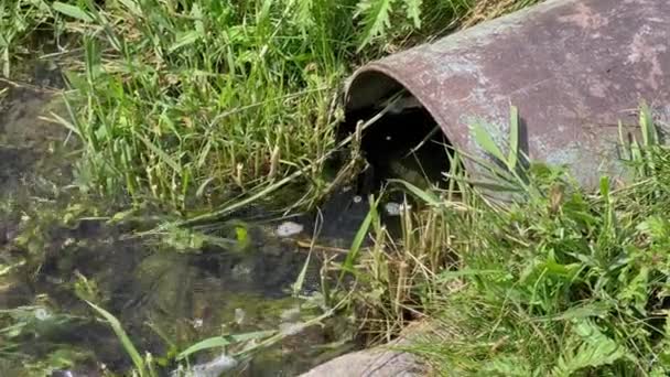 Waste Water Flows Out Pipe Pond Problem Sewage Pollution — Stock Video