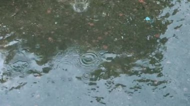 Yağmur damlaları yola düşer ve spreyler farklı yönlere dağılır..