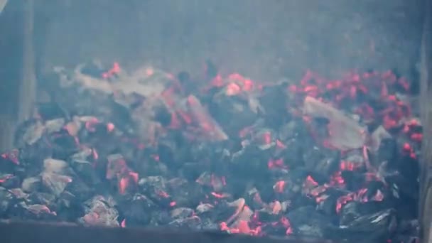 Ανάψτε Κάρβουνα Που Σιγοκαίει Μια Φωτιά Κοντινό Πλάνο — Αρχείο Βίντεο