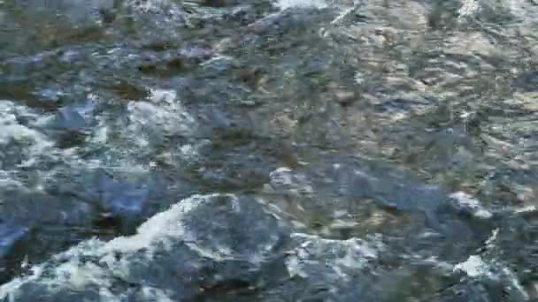 Konsistensen Flod Som Rinner Med Stor Hastighet — Stockvideo