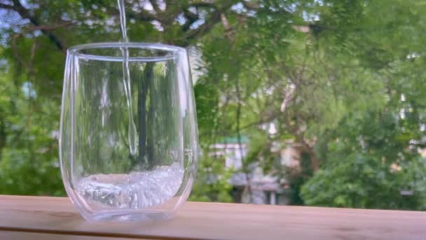 Tiszta Vizet Öntenek Egy Üvegbe Átlátszó Üvegbe Zöld Növényzet Hátterére — Stock videók