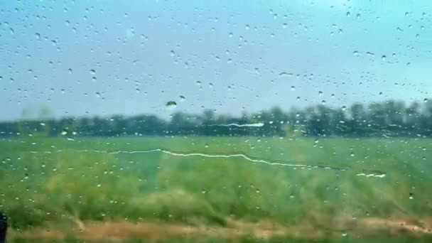 Krople Deszczu Szybę Samochodu Podczas Jazdy — Wideo stockowe