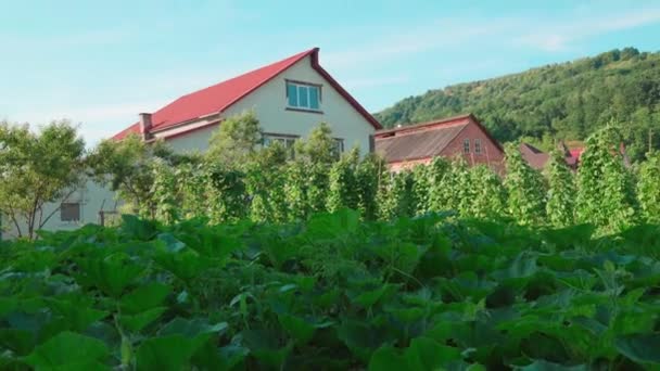 Una Hilera Casas Rurales Zonas Verdes Sobre Telón Fondo Montañas — Vídeo de stock