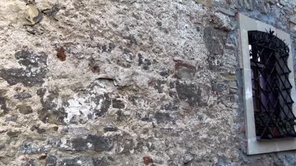 Kamienna Ściana Starożytnego Budynku Nierównej Powierzchni — Wideo stockowe