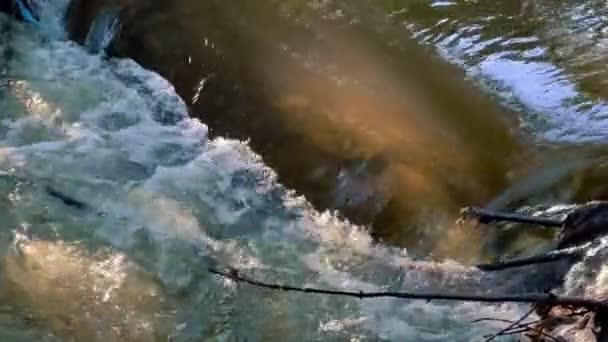 Ein Schneller Fluss Eines Sauberen Gebirgsflusses Dem Das Sonnenlicht Reflektiert — Stockvideo
