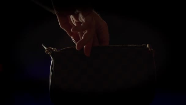 小偷的手伸进女士的手提包 从里面掏出钱和信用卡 背景中闪烁着警车的灯光 — 图库视频影像