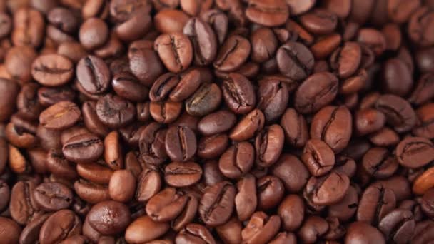 Många Kaffebönor Vibrerar Sortering Närbild Grunt Skärpedjup — Stockvideo