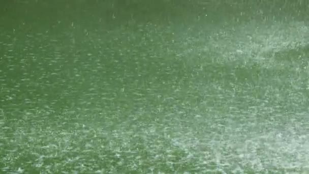 激しい雨 川の表面に落ちる滴 — ストック動画