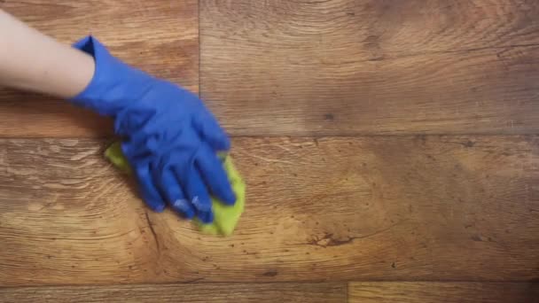 青い手袋の女性の手はラグが付いている床を拭きます — ストック動画