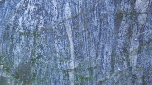 Textura Pedra Granito Estado Selvagem — Vídeo de Stock