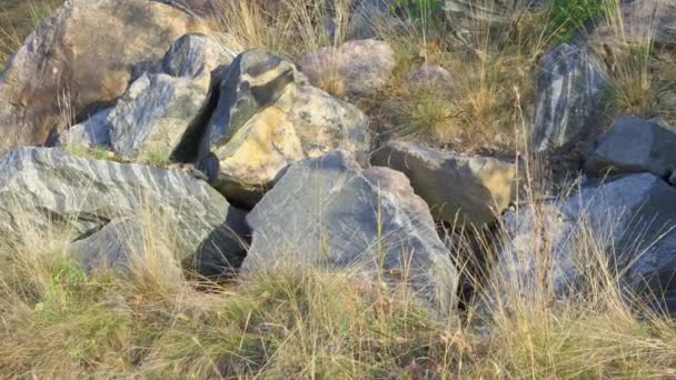 Batu Granit Besar Dari Berbagai Bentuk Berbaring Kaki Gunung — Stok Video