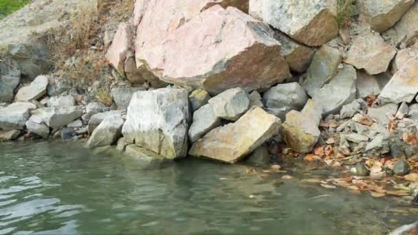 Rocky Shore Lake Surface Which Fallen Leaves Float — Stock Video
