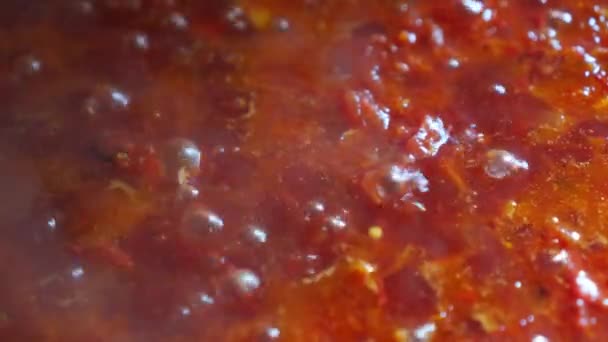 红色蔬菜汤在炉子上沸腾 乌克兰罗宋汤 — 图库视频影像