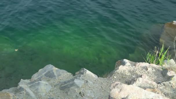 Mar Rocosa Orilla Con Agua Azul Clara — Vídeo de stock