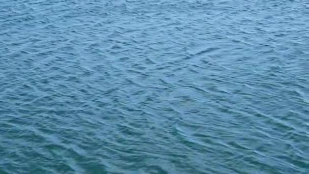 Water Oppervlak Met Kleine Golven Stroom Uit Wind — Stockvideo