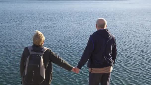 手を握る高齢男性と女性が上に立って海や海を見る — ストック動画