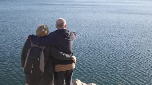 Älteres Verliebtes Paar Umarmt Sich Steht Auf Einem Hügel Und — Stockvideo
