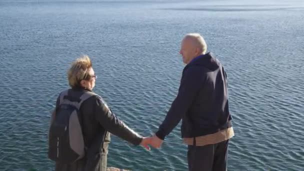 Elderly Man Woman Stand Peak Surface Sea Holding Hands Looking — Stock Video