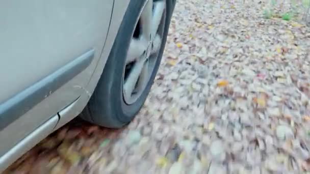 Автомобильное Колесо Время Езды Проселочной Дороге Покрытой Листьями — стоковое видео