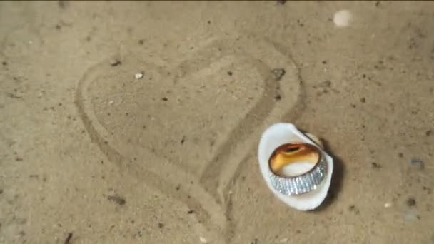 Precious Ring Shell Sandy Bottom Next Heart Drawn Sand — Stock Video
