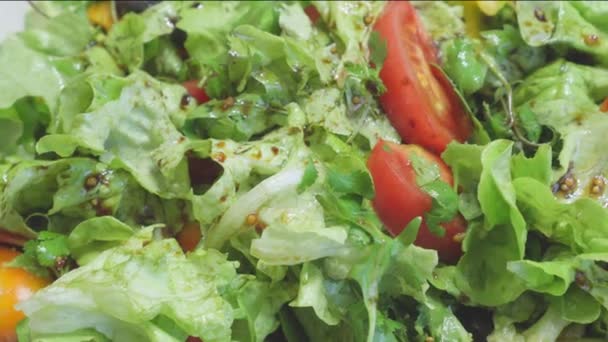 Tabakta Yeşil Vitamin Salatası Yakın Plan — Stok video