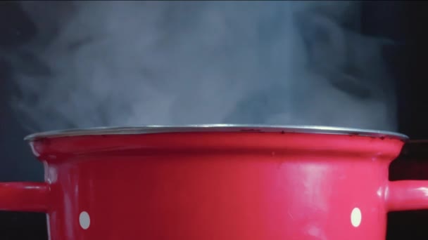 蒸気はストーブの上に立っている赤いソースパンの上に上昇します — ストック動画