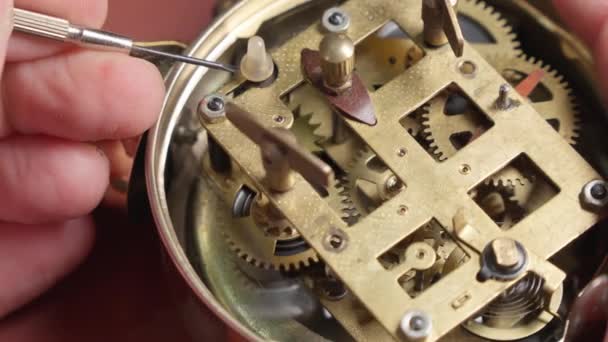 アンティーク時計の時計メカニズムを修理するマスター — ストック動画