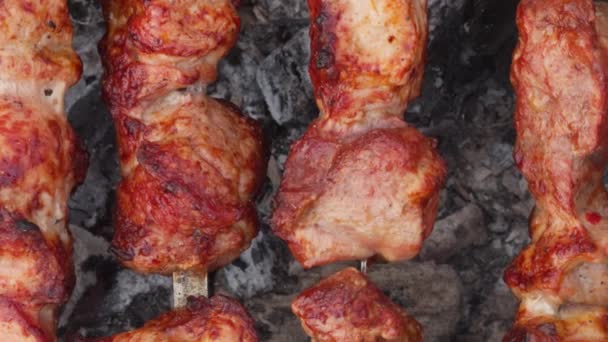 红肉片在小口吐口水在火上烤 — 图库视频影像