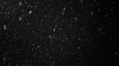 Real white snow that slowly falls against background of black sky.