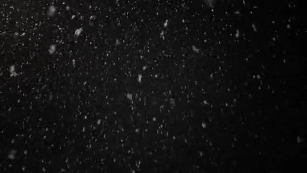 Real White Snow Slowly Falls Background Black Sky — Vídeo de stock