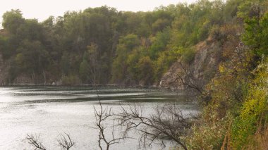 Rocky seascape with abundant vegetation.