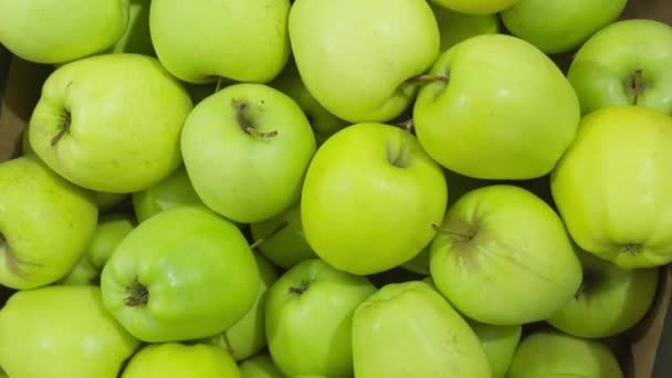 Πολλά Πράσινα Μήλα Κατά Συγκομιδή Κουτί Πάγκο Αποθήκευσης — Αρχείο Βίντεο