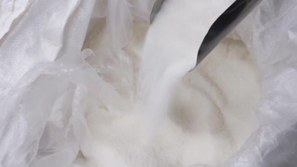 Vierte Azúcar Granulada Una Bolsa Llena Con Espátula Demostración Azúcar — Vídeos de Stock