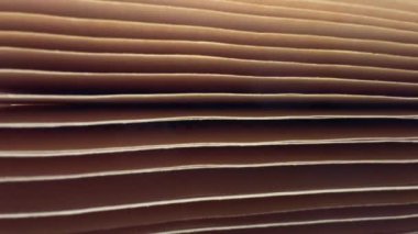 Küçük hareketlerle kitap sayfalarının yakın çekiminden doku.