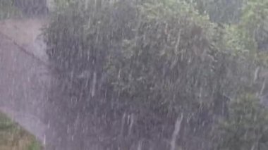 Yol ve bitki örtüsüne karşı çok şiddetli yağmur yağdı. Kötüleşen hava koşulları..