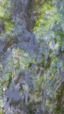 Saf kaynak suyunun dokusu. Dikey video.