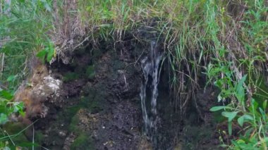 Yeşil çimlerle çevrili küçük bir dere...