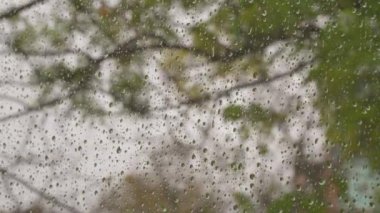 Pencere camında yağmur damlaları, dışarıda rüzgarlı bulutlu hava..