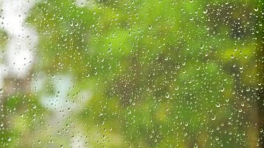 Pencereden yeşil bitkilerle rüzgarlı ve yağmurlu sokağa bak..